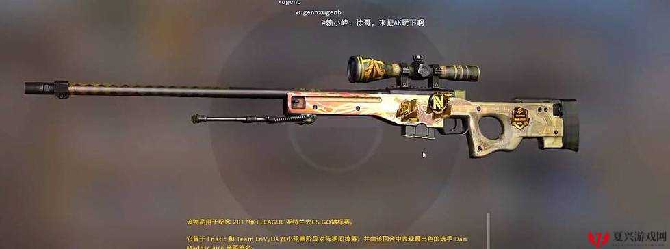 日本 csgo 大姐姐 awp 多少钱：其在市场上的具体价格及相关情况